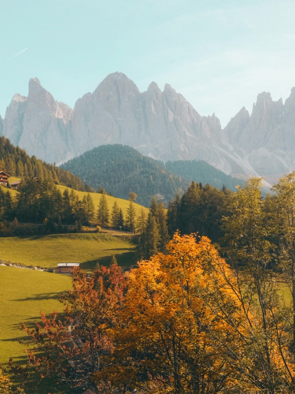 عرائس أميجرومى كروشيه Natures 02